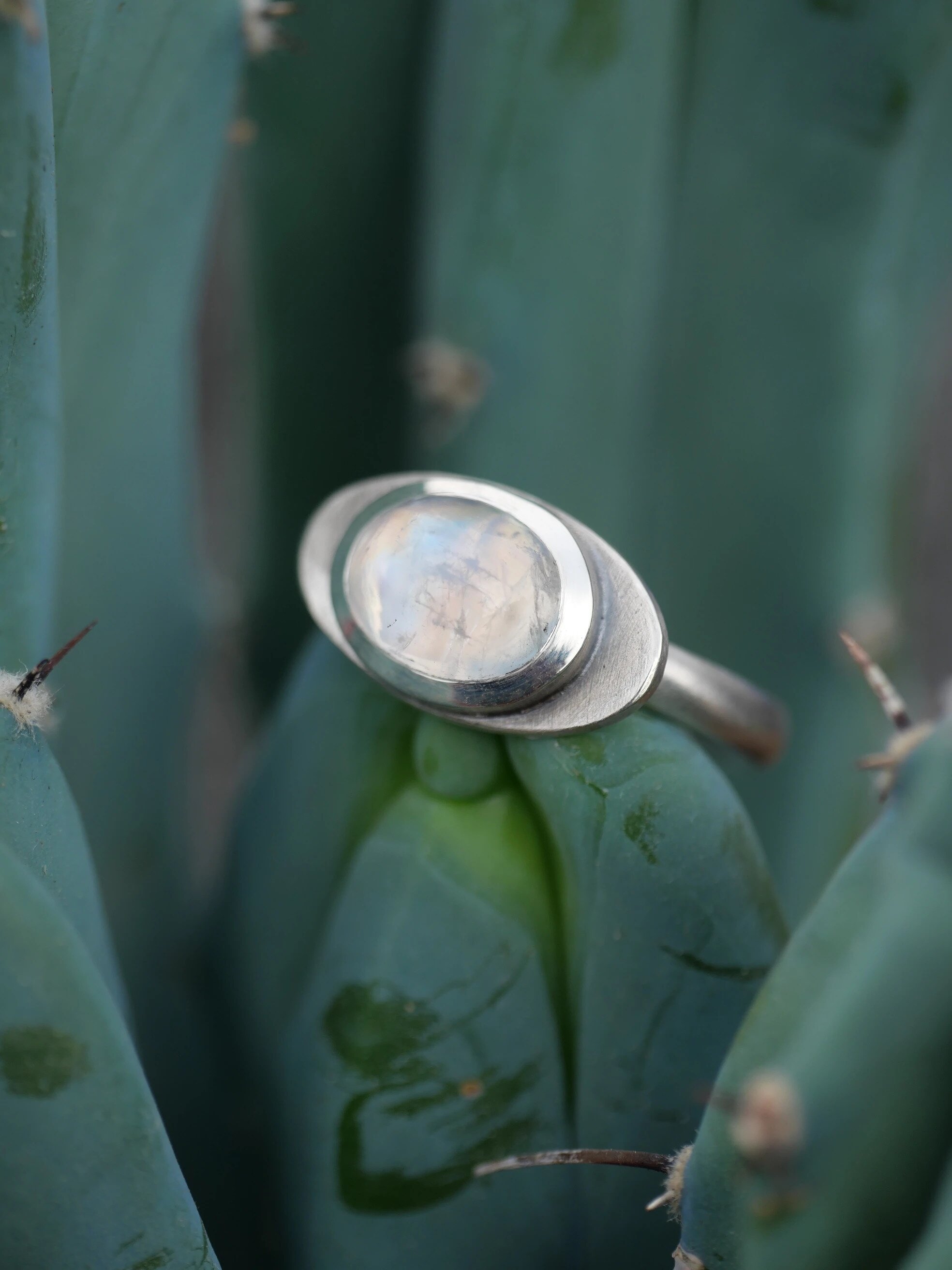 Nahaufnahme Zargenfassung